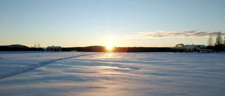 Läsarbilden                   