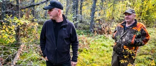 "Det är ingen skog – det är en djungel"       