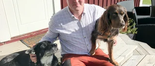 Emil och hans jakthundar är ett team i skogen
