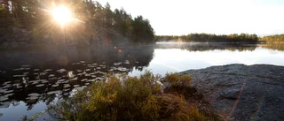 Lugna ner er, regeringen har inte avskaffat naturen
