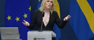 Lena Hallengren behöver ta befälet och höja taket