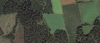 Ägarbyte för gård i Stånga