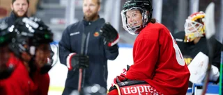 Regeländringen som fick Luleå Hockey att ändra träningsupplägg: "Ska vara redo"