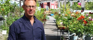 Ökad efterfrågan på blommor och buskar