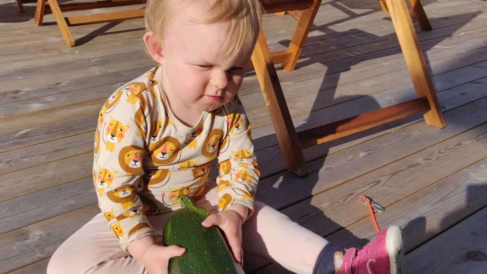 Edith Segerlund med skörden av zucchini.