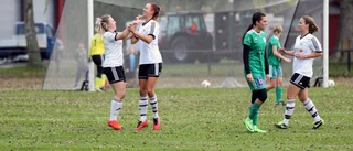 Förlust för Västervik Dam i träningsmatchen