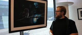 Här kan man möta djuren - i biblioteket