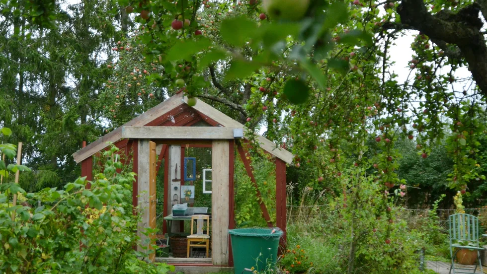 Växthuset i Berrys trädgård har de byggt själva. Liksom mycket annat i trädgården går det i röda detaljer.