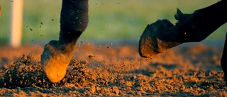 Kväv inte hästsporten med krångliga regler