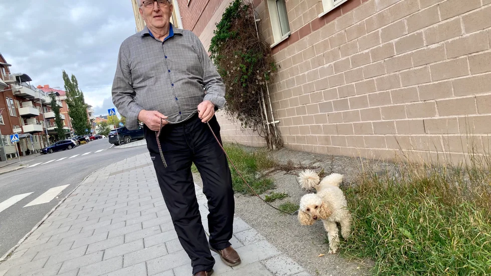 Clifford Söderberg vägrade pudla när han styrde Pite havsbad, utan gick den väg han själv bestämt sig för. Idag, som 85-åring, beskriver han sig som en riktig tjurskalle, vilket vovven Kevin säkert fått erfara.