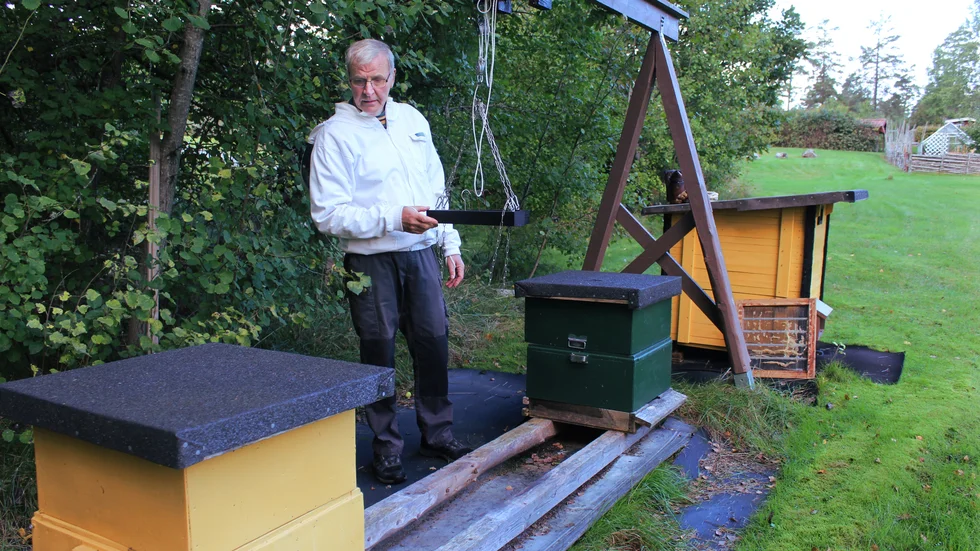 Janne Hammarberg har sju bisamhällen i sin trädgård hemma i Getterum.