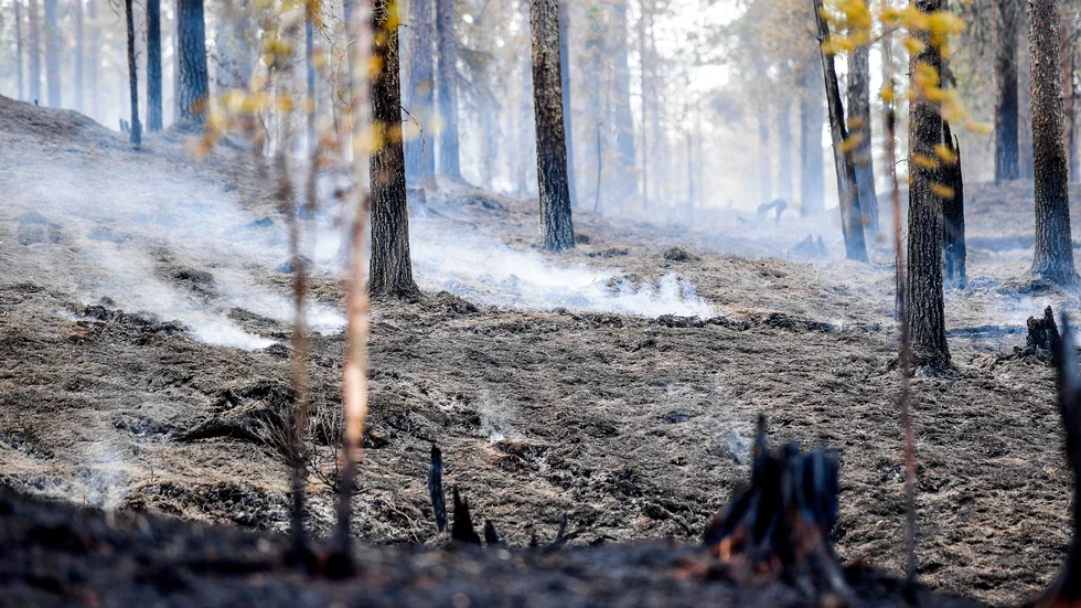 Skadeplats syd på Älvdalens skjutfält vid Trängslet som eldhärjades sommaren 2018. Arkivbild.