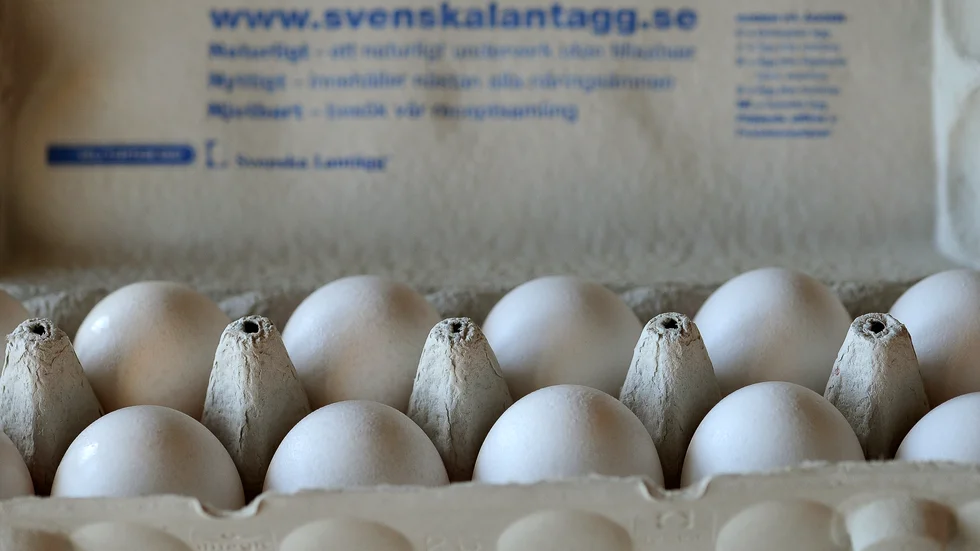 "Preparerade ägg förvarades ej övertäckta i kylrum" är en av flera brister som konstaterades under kommunens livsmedelskontroll i juni.