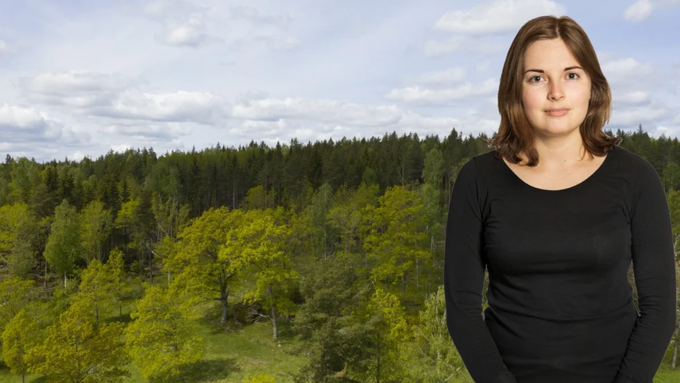I Sverige finns ingen konflikt mellan brukande och vårdande av skog. Det har inte EU-kommissionen förstått.