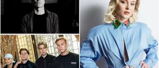 Stjärnorna väljer Skellefteå före Luleå • "Zara Larsson hade inte uppträtt där"
