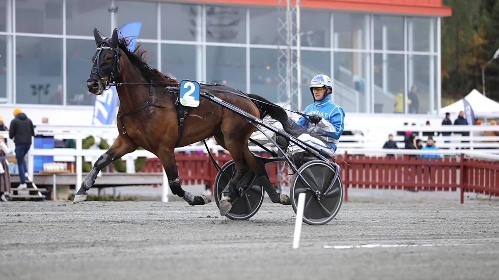 Selmer I.H slog till med en bejublad hemmaseger i Chili Khans lopp. Nyförvärvet visade klass direkt i regidebuten.