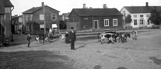 Tung men givande resa genom Luleås första 400 år