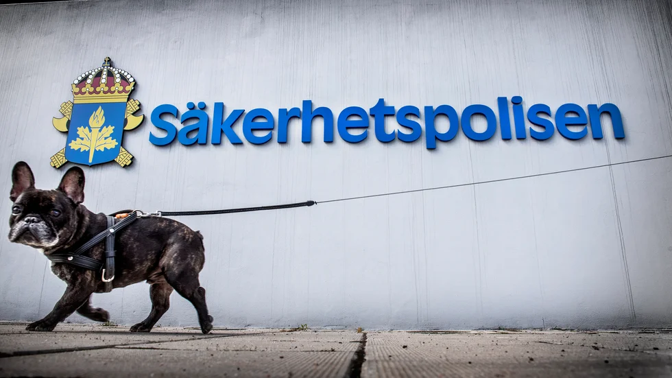 "Tingsrätten delar vår uppfattning att personen ska vara häktad för att inte kunna undanröja bevis eller ta till flykt", säger chefsåklagare Per Lindqvist i ett pressmeddelande.