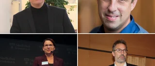 Enormt intresse för samhällsomvandlingen i Skellefteå: ”Sitter på en fantastik möjlighet”