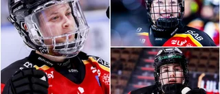 Luleå Hockey förlänger med stjärntrion: "Känns fantastiskt" 