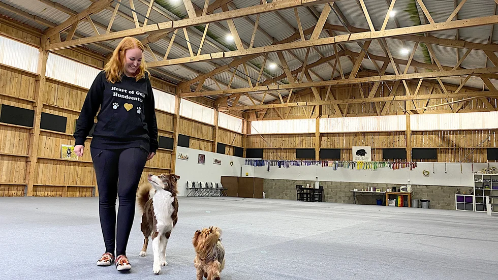 Hundhallen i den ombyggda ladan vid Öns gård är bara början, Sofia Angleby har många planer för en växande verksamhet med träningar och tävlingar i olika hundsporter. Hundarna Viva och Lyxz hänger med på mattes alla idéer.