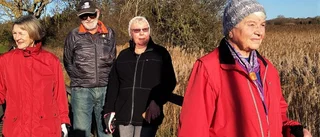 Årets Angabo – Stefan Hellström