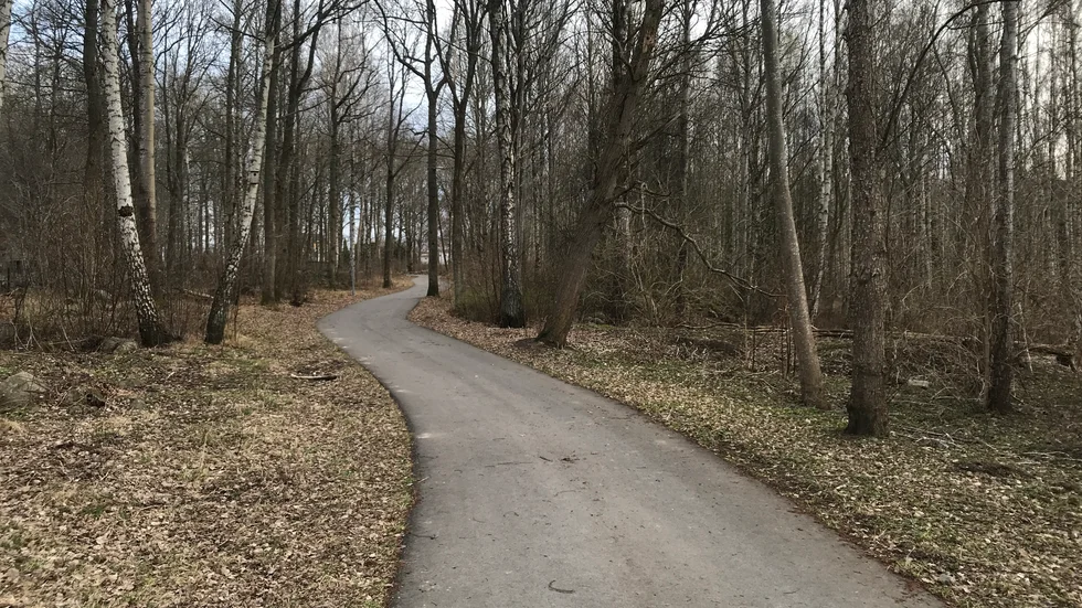 Cykling, vad är det för något? Är det något tillbakalutat och avstressande, eller är det framåtlutad tidsjakt och fartkänsla? Motionscyklingen mår bra av bådadera, skriver Jens Bollius.