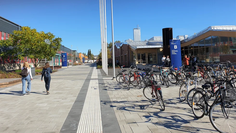 Studentområden som Porsön i Luleå, där Luleå tekniska universitet återfinns, pekas ut i rapport som ett område som är överrepresenterat när det gäller affärer på i den suspekta miljön i Darknet.