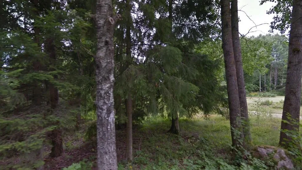 Älgmyra 108