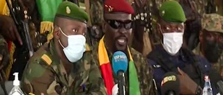 Ecowas avstänger Guinea efter kupp
