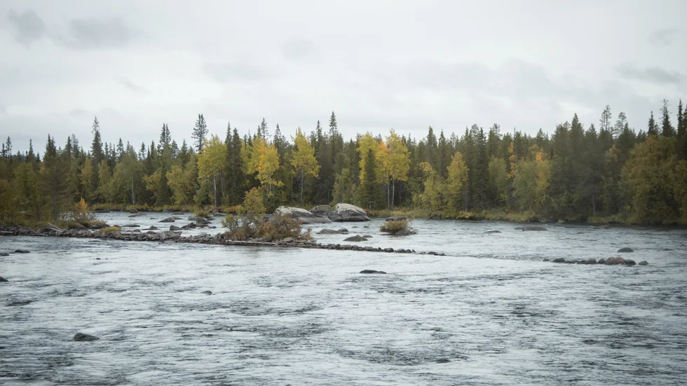Jokkmokks kommun är orolig att det kommer ge negativa konsekvenser för Pärlälvsdalen när gruvexploatören i Kallak nu söker sig längre söderut.