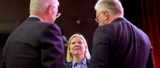 Vänsterpartiet accepterar inte rollen som dörrmatta