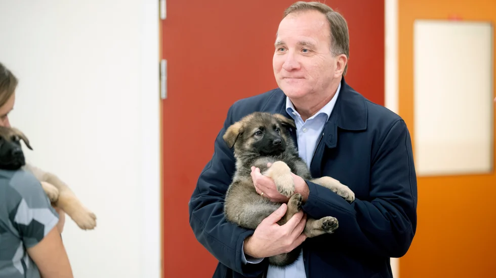 Bland mina kompisar beskrivs Löfven som gullig, vilket inte är menat på ett förminskande sätt. Han har helt enkelt en aura av genuinitet och värme, skriver Kata Nilsson.