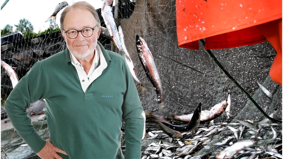 Berndt Tiberg skriver om surströmmingskrisen.