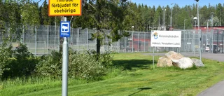 Man häktad misstänkt för grov våldtäkt mot barn