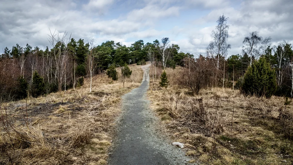 Tunåsen, norr om Svartbäcken, mellan Röboområdet och militärflygplatsen vid Ärna.