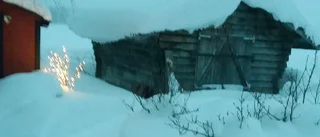 Läsarbilden                   