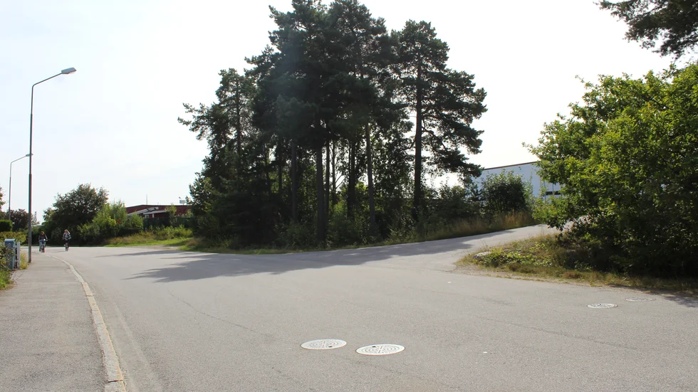 Ett par hundra meter från Stora trädgårdsgatans vårdcentral ligger Richardssons, med skogen som närmsta granne. De har nu fått gehör för att ändra detaljplanen för att möjliggöra en utbyggnad som blir upp till 11 meter hög. 