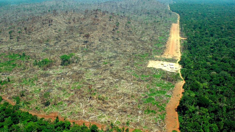 Arkivbild från Greenpeace över avverkningen i Amazonas.