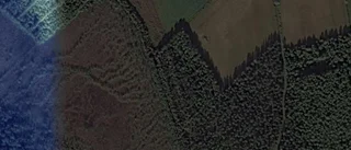 Lantbruksfastighet i Kalix har fått ny ägare