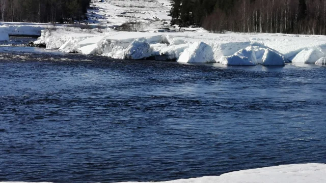Öppet vatten i Storforsen.
