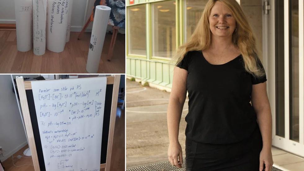 Plateläraren Linda Wickström berättar att hon var en av de sista lärarna som slutade använda overhead-apparaten. 