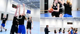 Basketen frodas i Skellefteå – startar LIU: "Otroligt svårt att lämna bort dem"