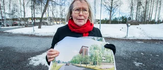 Arkitektens utspel: Slå vakt om stadsmiljön i Luleå