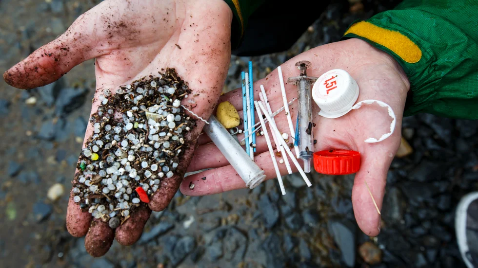 Plast i havet skadar utrotningshotade havsdjur som till exempel havssköldpaddor och olika arter av fiskar skriver Erik.