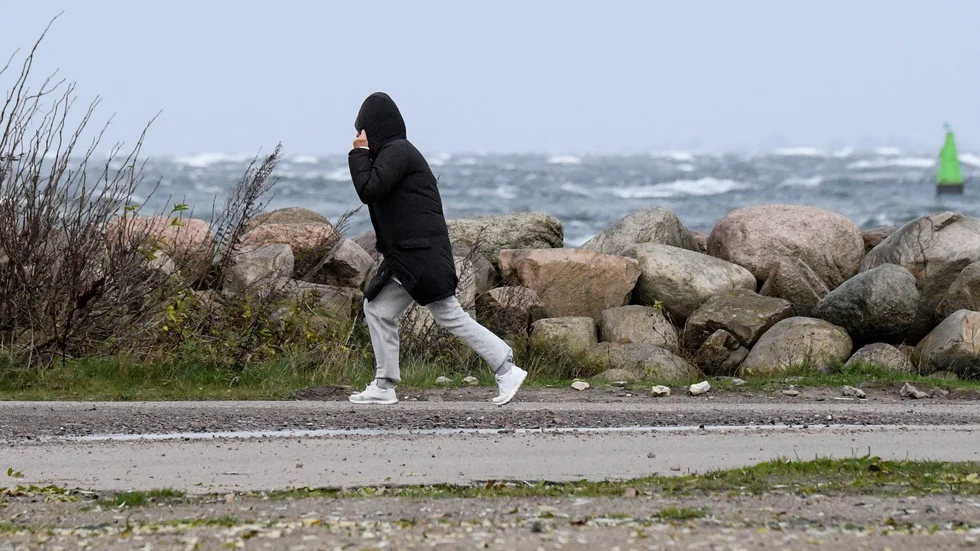Håll i huvan! SMHI har utfärdat en klass 1 varning för hårda vindbyar i framför allt kustlandskapen. Arkivbild.