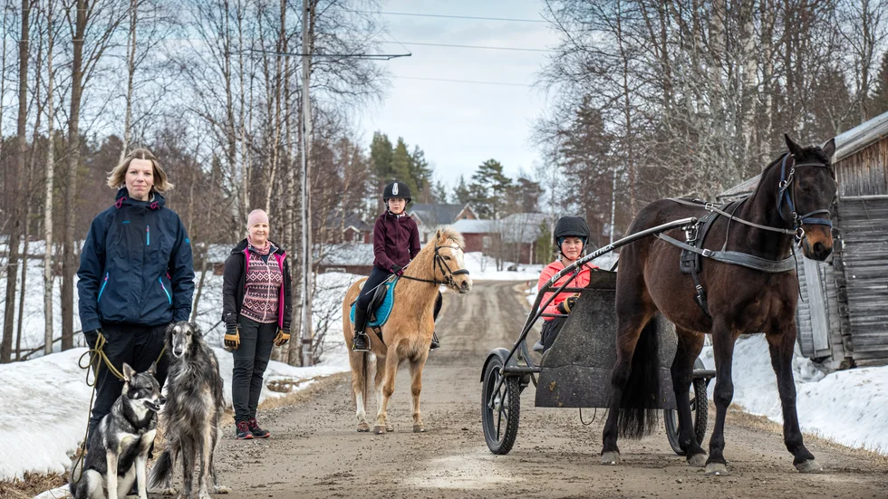Många barnfamiljer väljer att flytta ut på landet just nu. Och i  Höglandsnäs satsar många tjejer/kvinnor på egna verksamheter, ofta med djur. Här Ann-Sofie Kerttu, Balanserade hundar, och Therese Bergström med döttrarna Sally och Stella. I den familjen är det hästar som gäller.