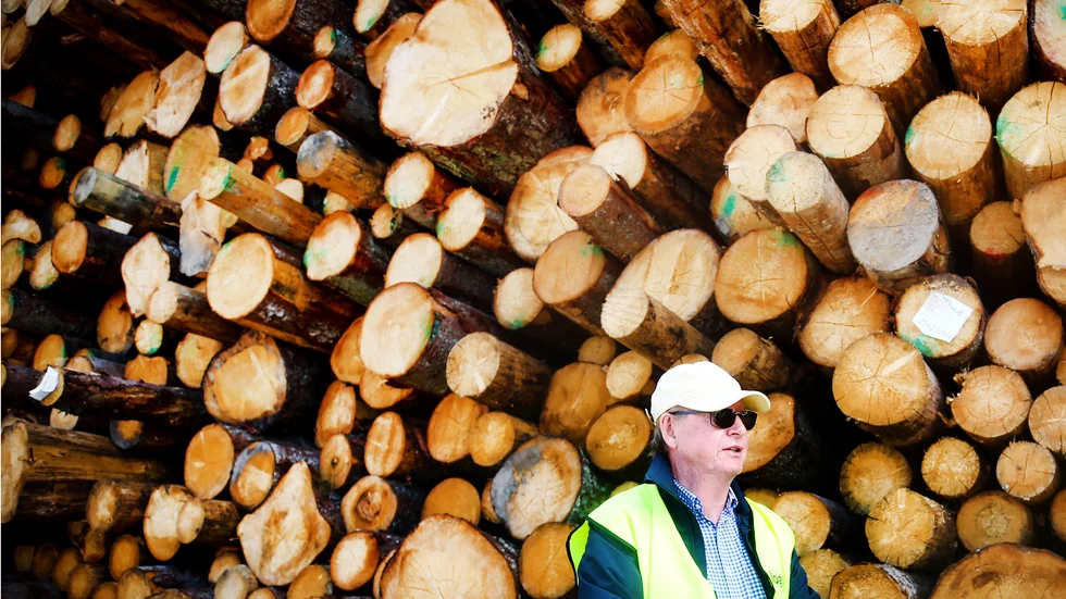 "Hur länge detta kommer fortsätta är mycket beroende av angreppen av barkborrarna. Fram i höst får vi se vilket resultat årets svärmning kommer att ge", svarar Lars Ahlberg, vd för Woodrow management, på frågan om hur länge granbarkborredrabbat virke ska exporteras till Asien.