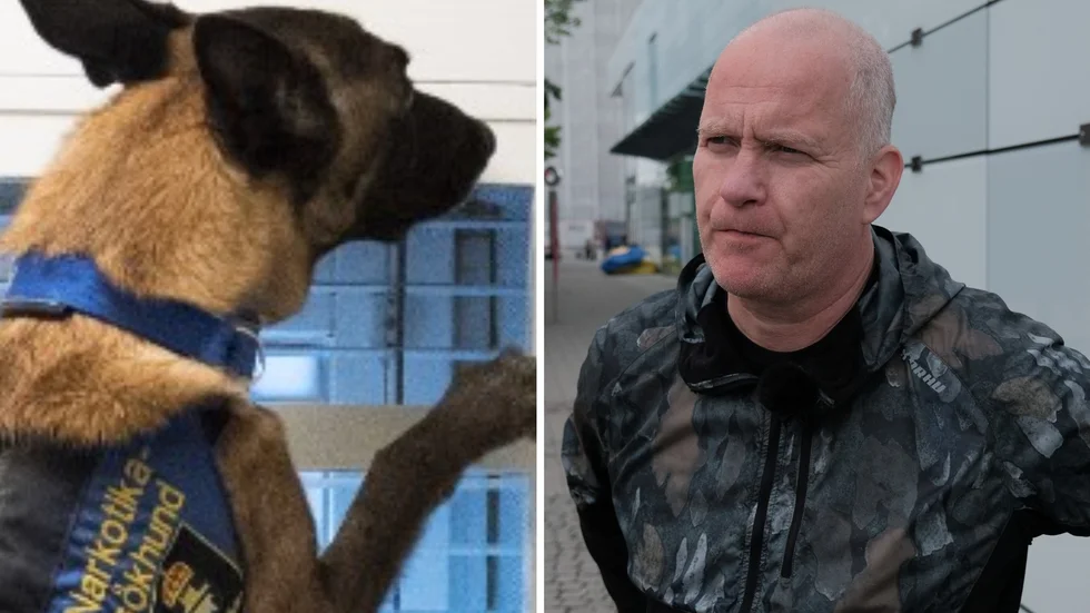 De kortade fängelsestraffen kan ha ökat narkotikasmugglingen till Sverige. Det befarar Lennart Karlsson, ordförande i Svenska Narkotikapolisföreningen.