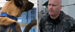 Polisen: Sänkta straff kan ha ökat inflödet av knark